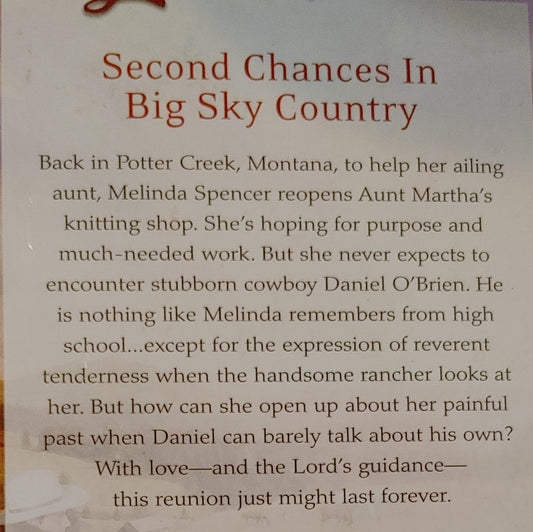 Love Inspired The Doctors Secret Son - Large Print