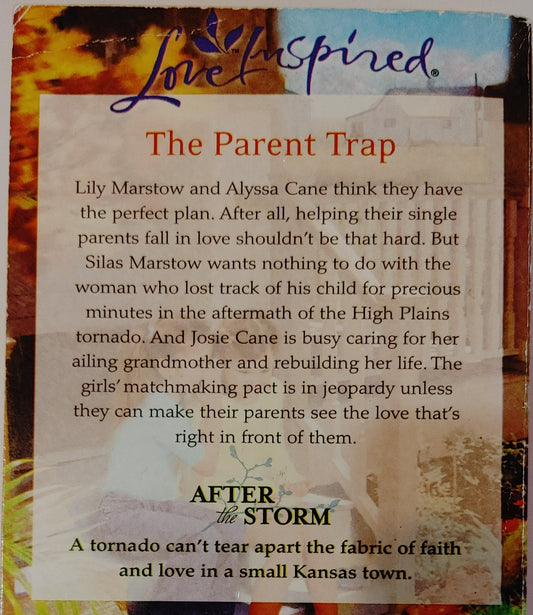 Love Inspired Big Sky Reunion Larger Print - Charlotte Carter