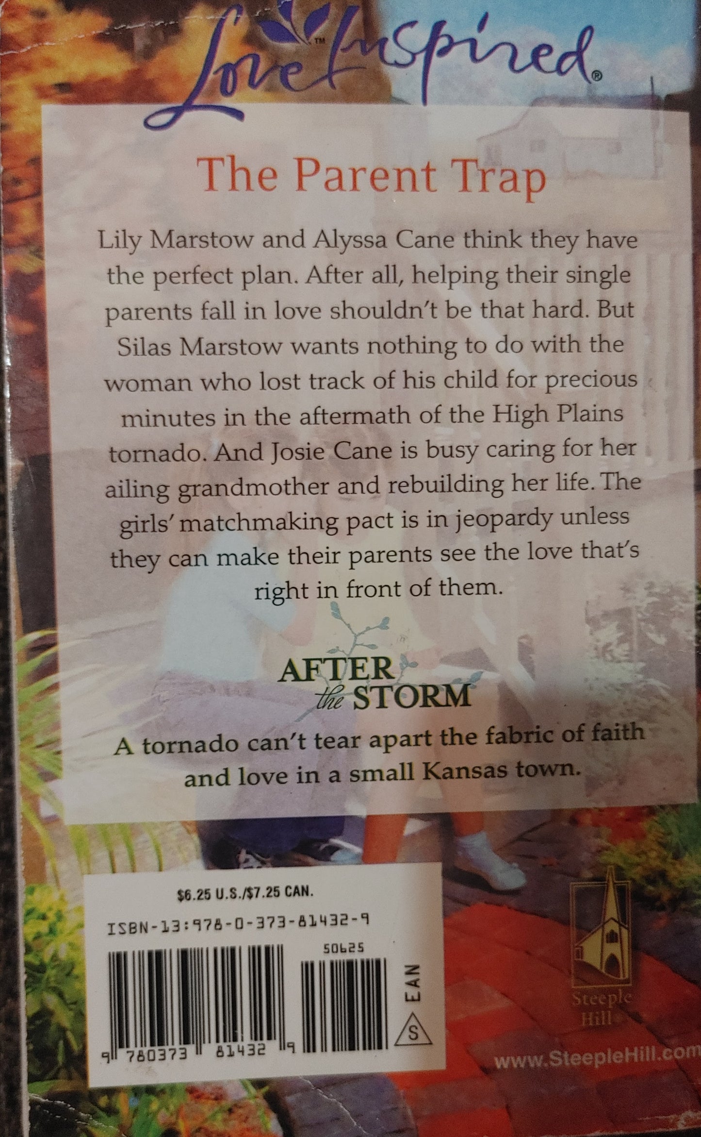 Love Inspired -The Matchmaking Pact - Carolyne Aarsen - Large Print