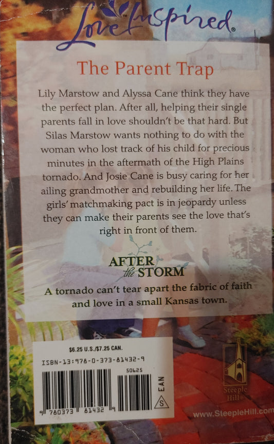 Love Inspired -The Matchmaking Pact - Carolyne Aarsen - Large Print