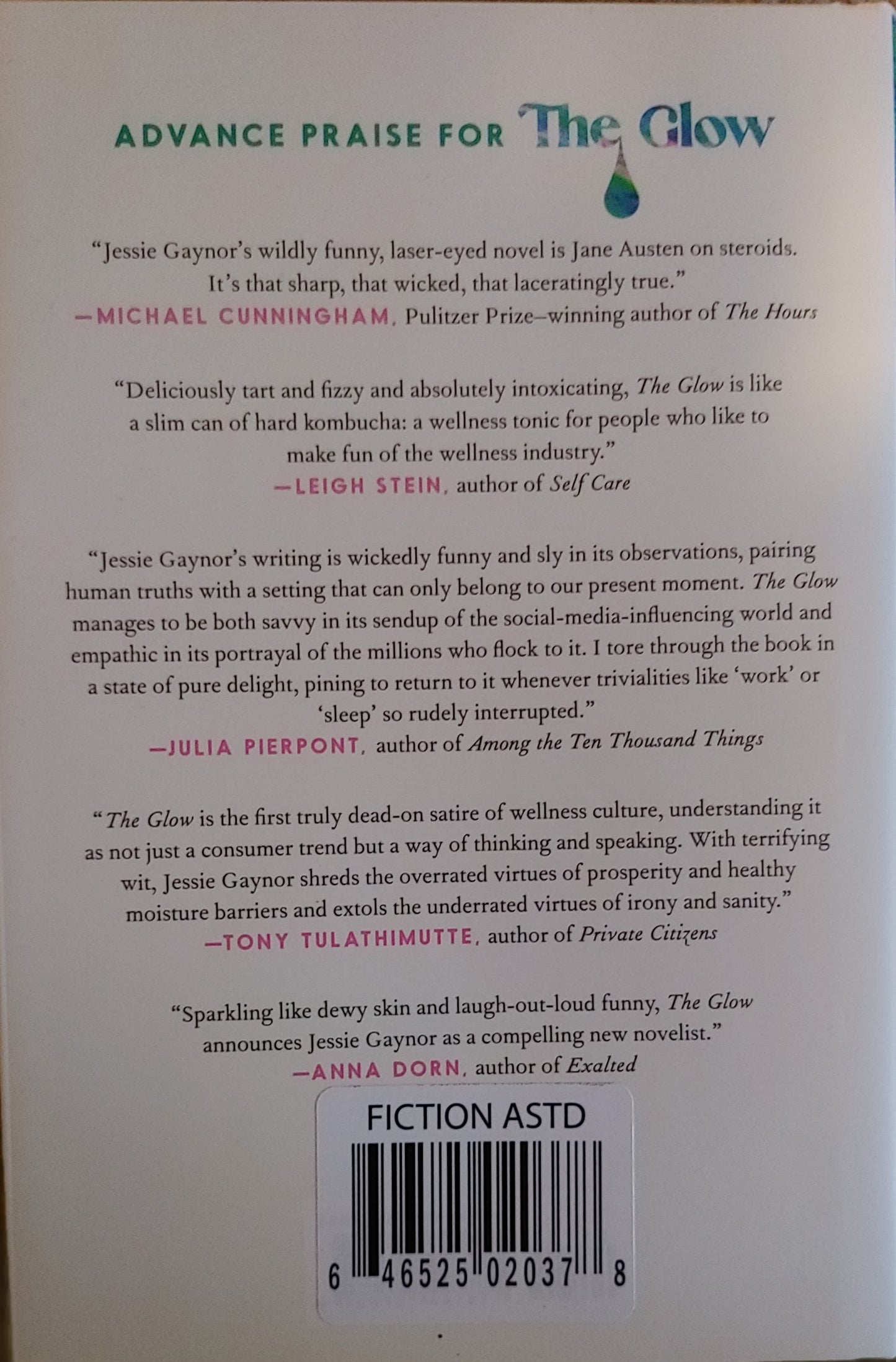 The Glow: A Novel - Jessie Gaynor