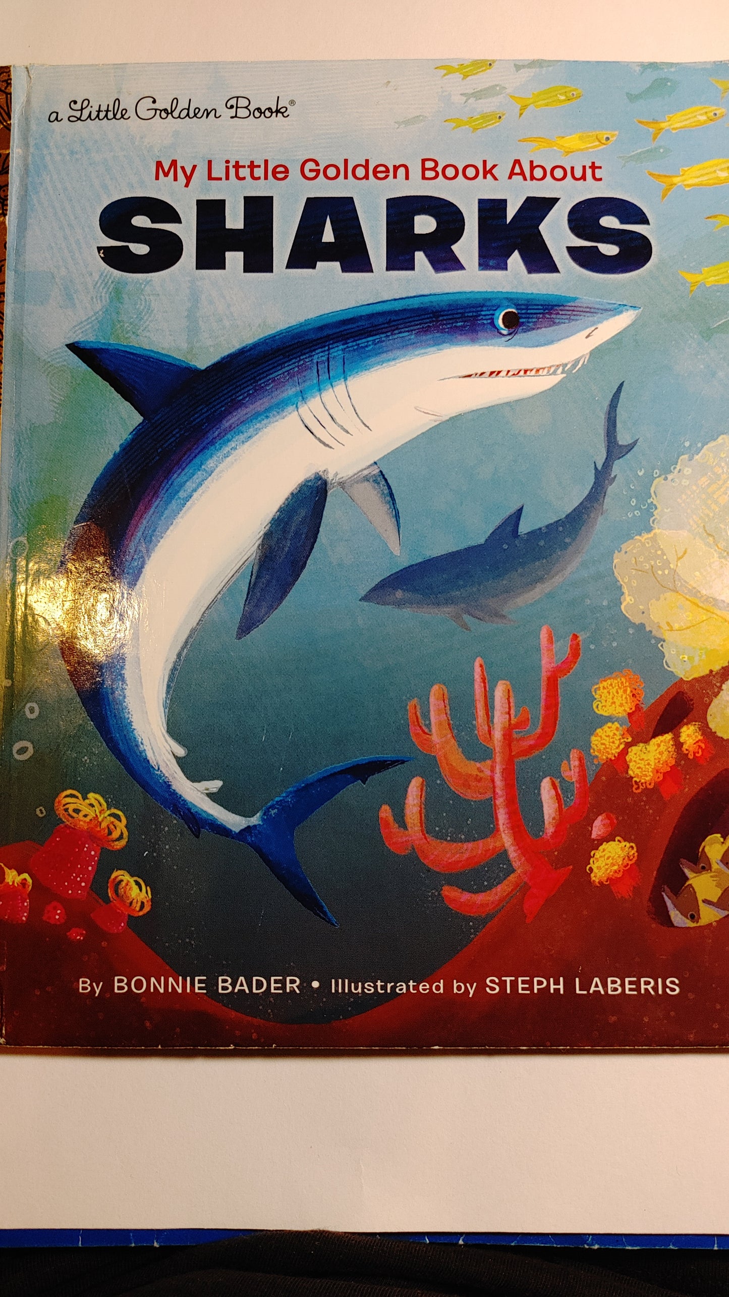 My Little Golden Book About - Sharks