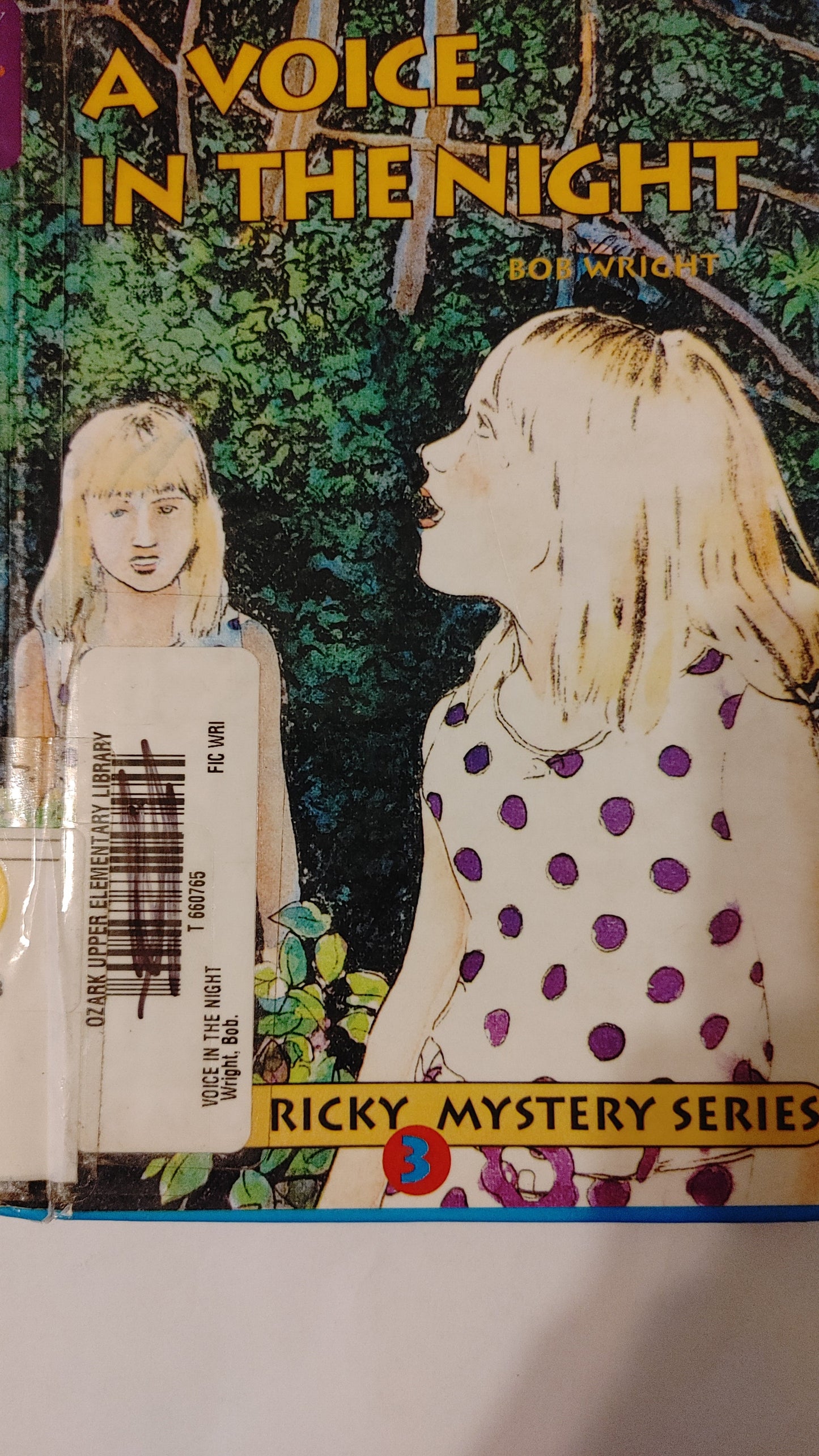 A Voice In the Night - Ricky Mystery Series - Bob Wright