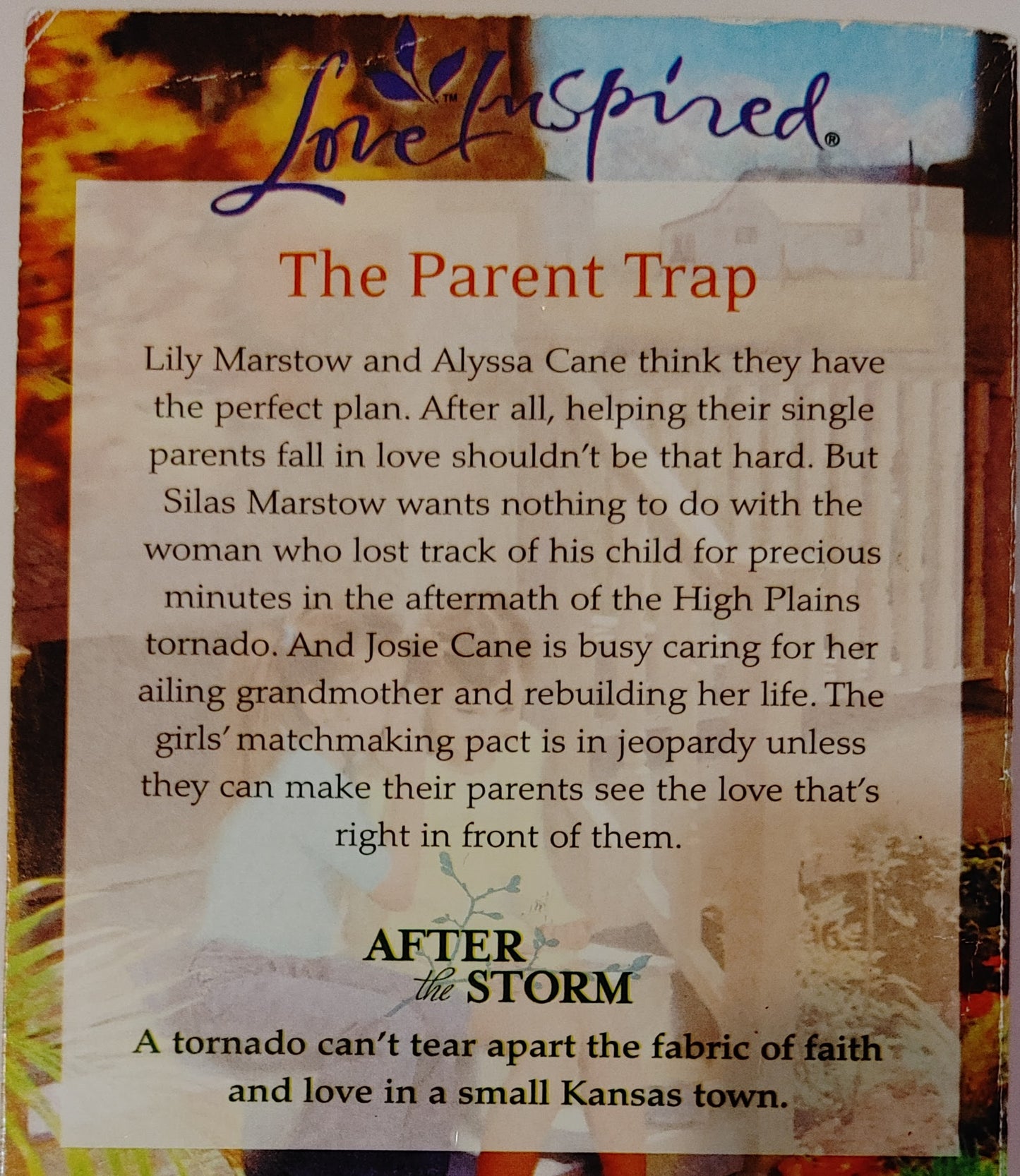 Love Inspired Big Sky Reunion Larger Print - Charlotte Carter