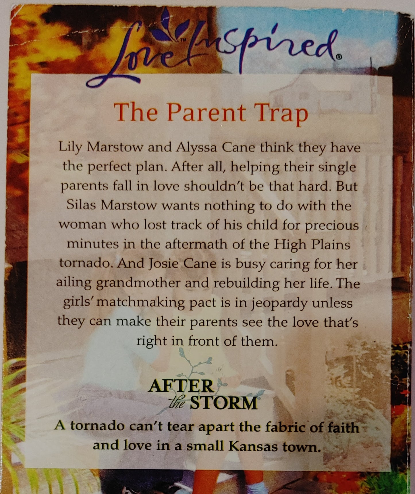 Love Inspired The Matchmaking Pact (Large Print)