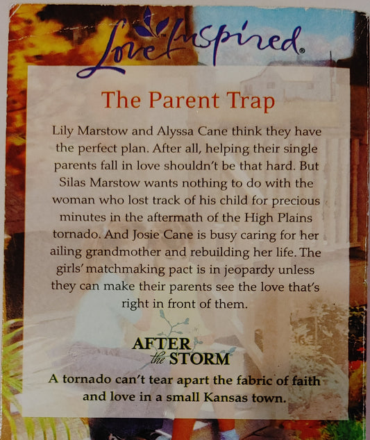 Love Inspired The Matchmaking Pact (Large Print)