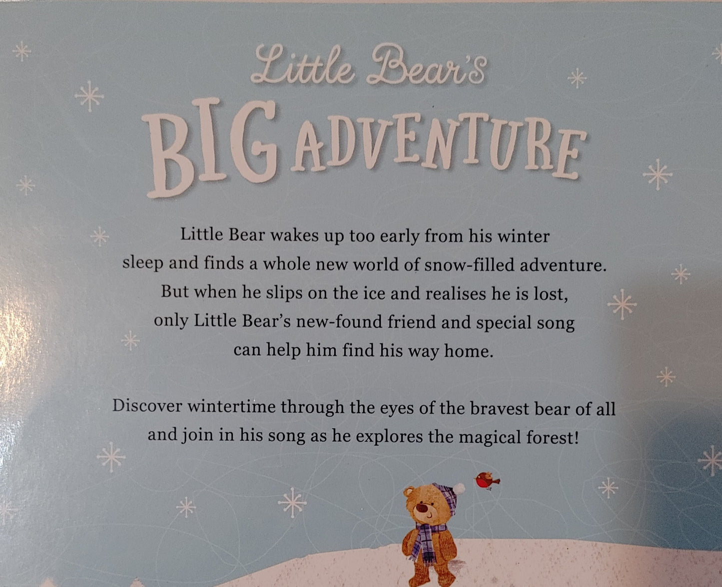 Little Bears - Big Adventures