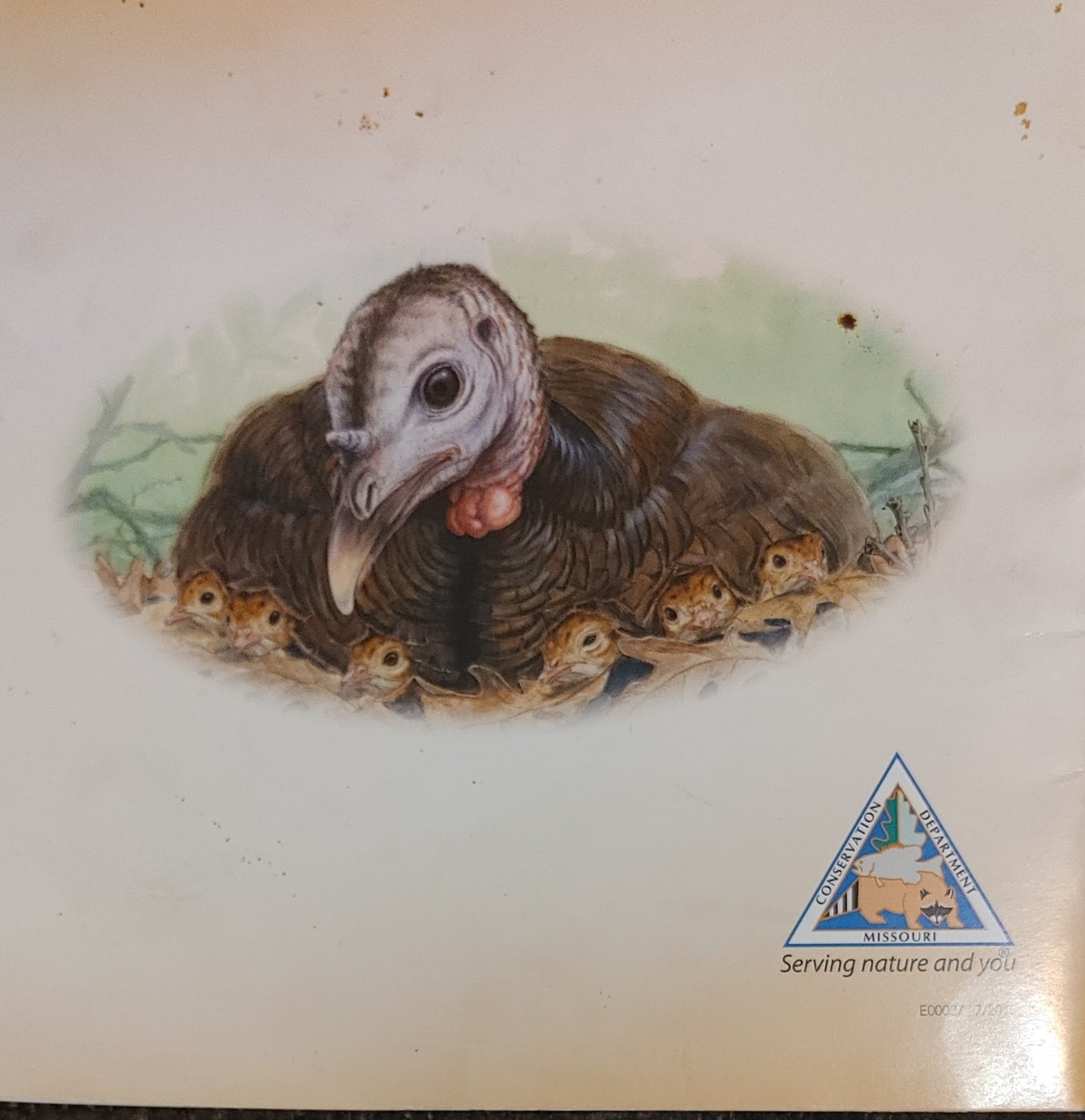 See How The Turkey Grows - John Griffin