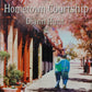 Love Inspired Hometown Courtship - Diann Hunt Large Print
