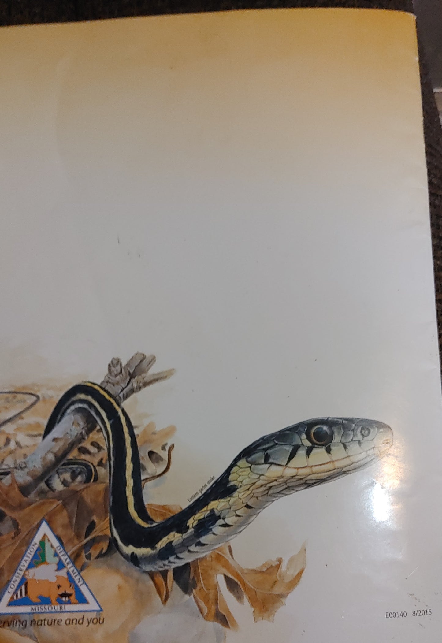 Nature Unleased - MDC Nature Schools