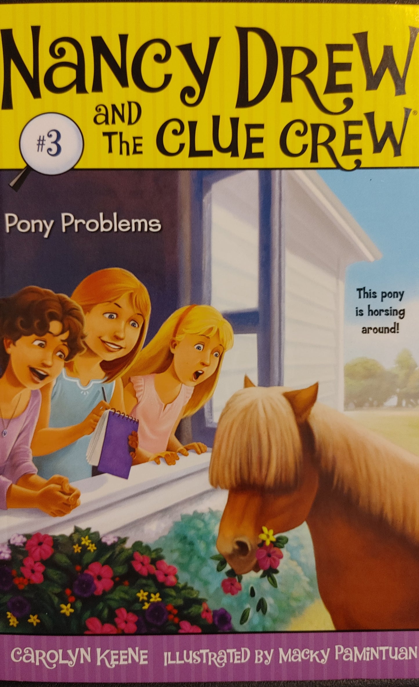 Nancy Drew and the Clue Crew - Pony Problems