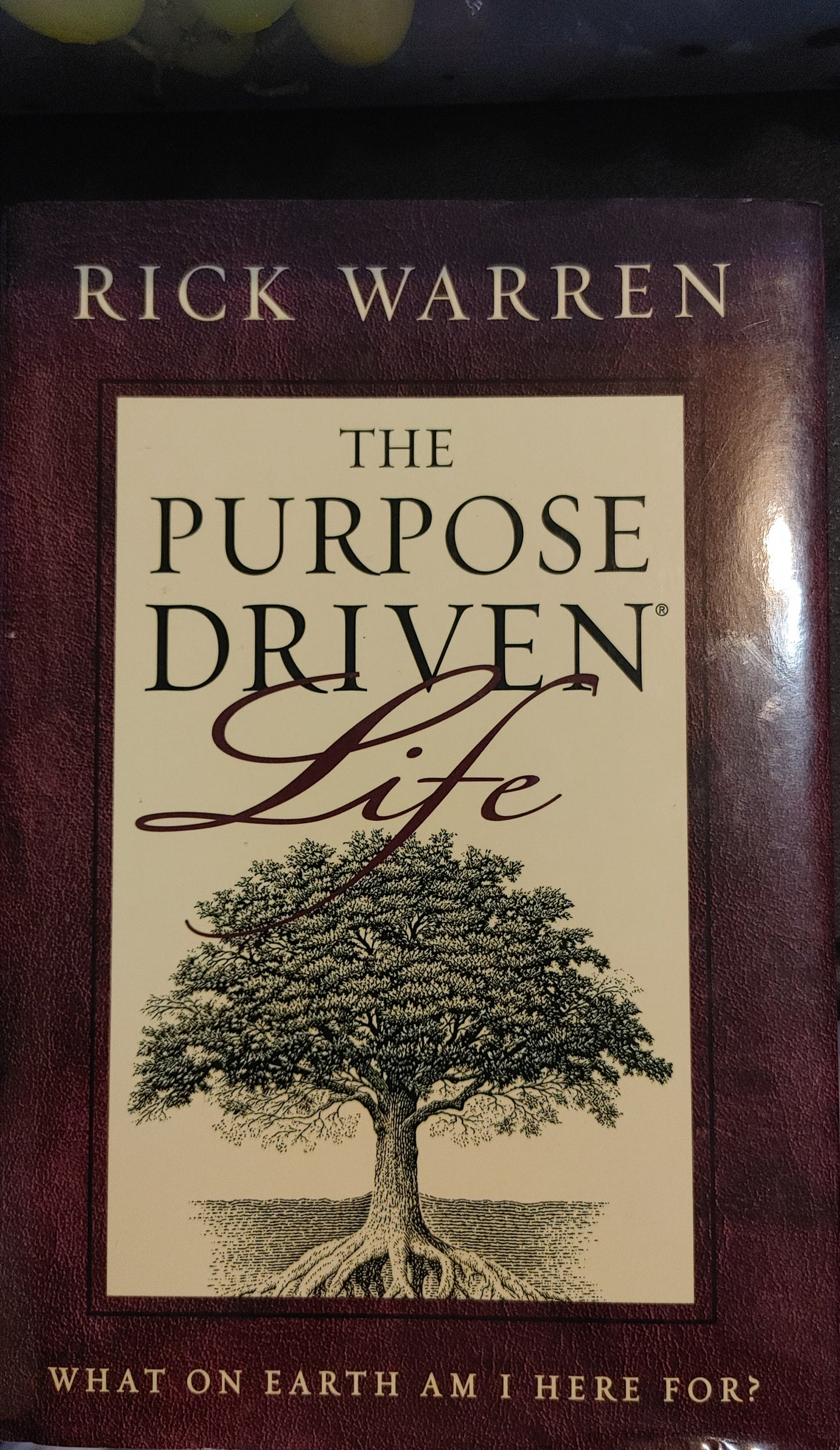 The Purpose Driven Life - Rick Warren What on Earth Am I Here For?