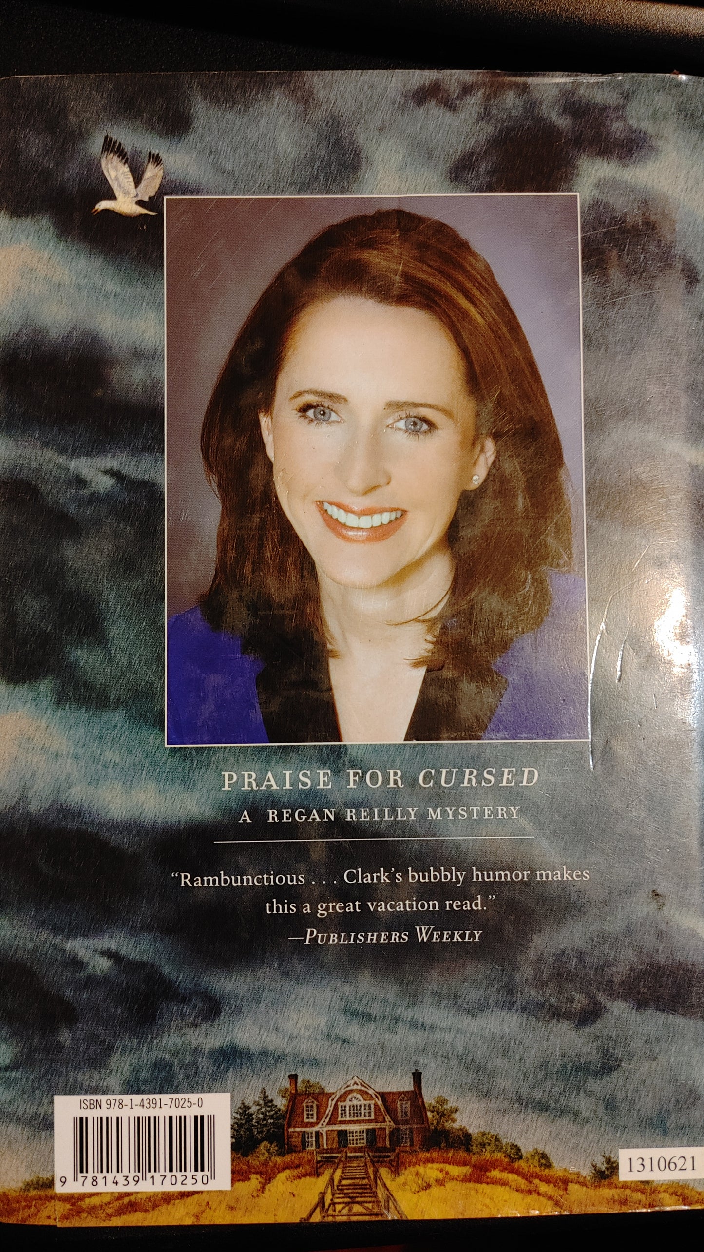 Wrecked - Carol Higgins Clark