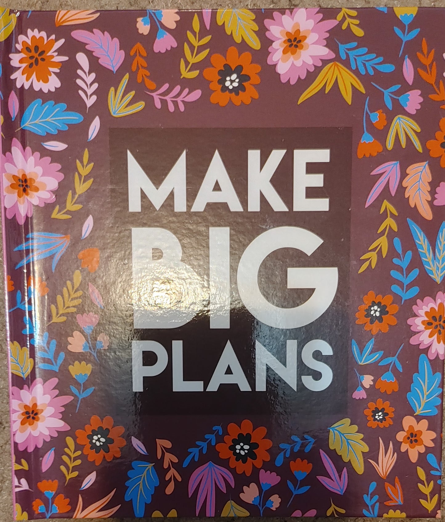 MAKE BIG PLANS - Mary Wollstonecraft Shelley