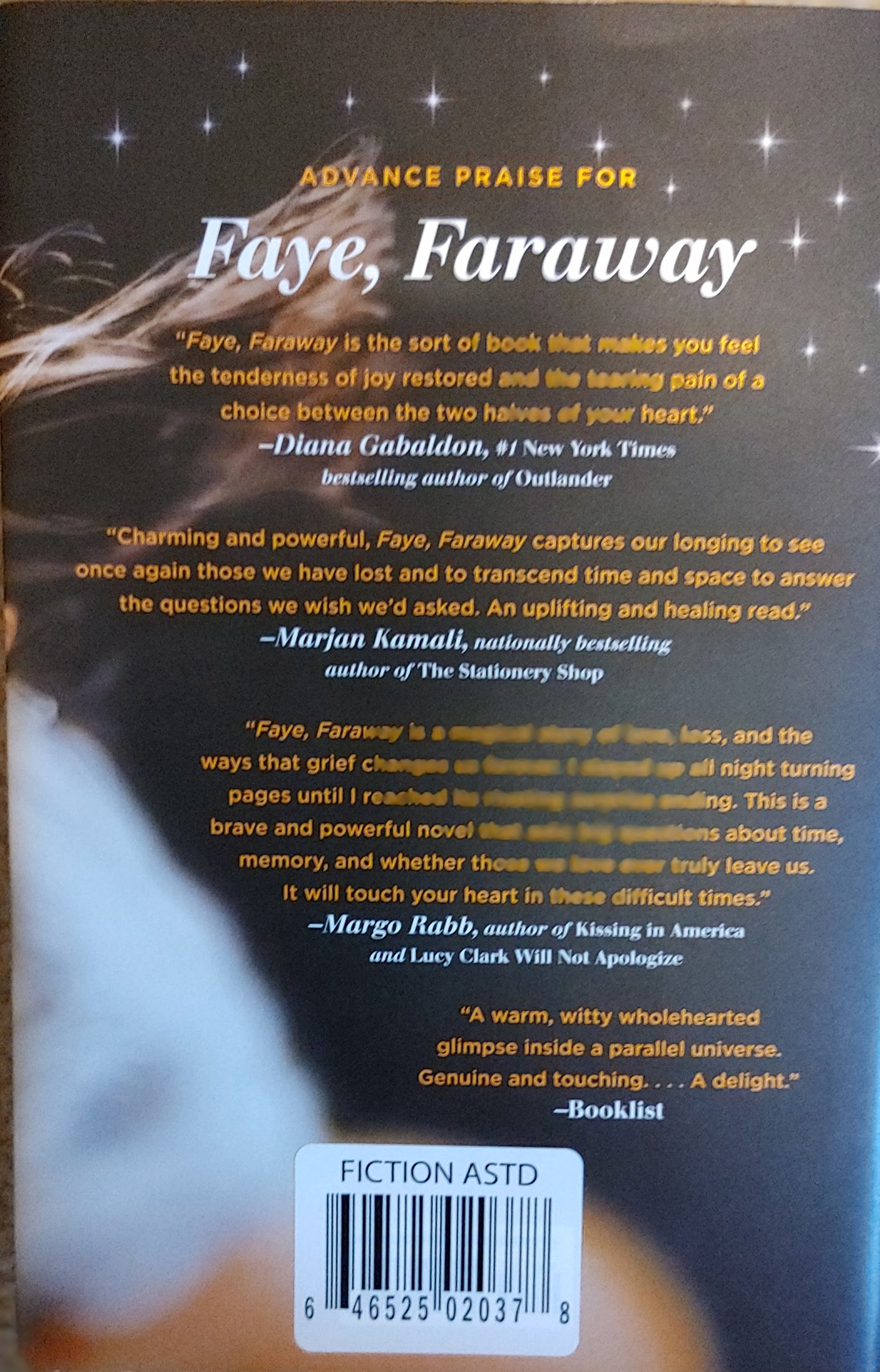 Faye Faraway - Helen Fisher