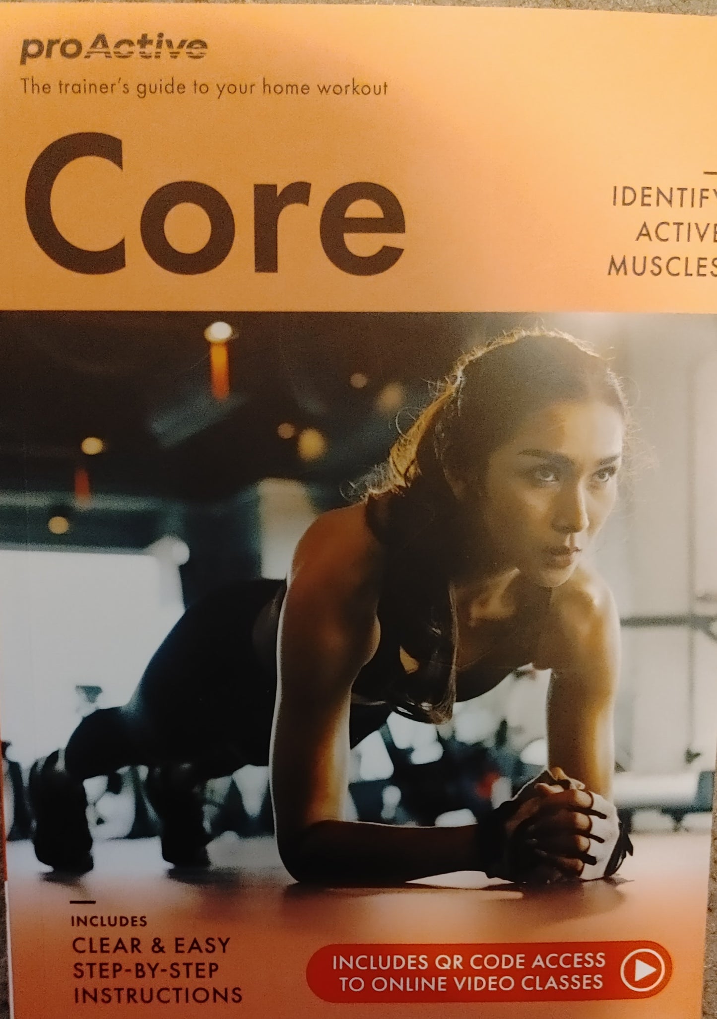 ProActive - The Trainer's guide to your home workout - Hollis Lance